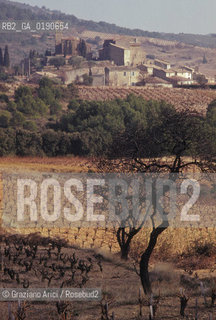 ( FRANCIA  )  LANGUEDOC-ROUSSILLON PAESAGGIO © 1999 Graziano Arici/Rosebud2 / GEO ERESIA CATARA CATARI