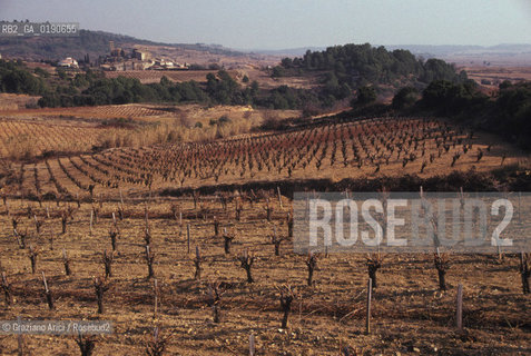 ( FRANCIA  )  LANGUEDOC-ROUSSILLON VIGNETII © 1999 Graziano Arici/Rosebud2 / GEO VINO