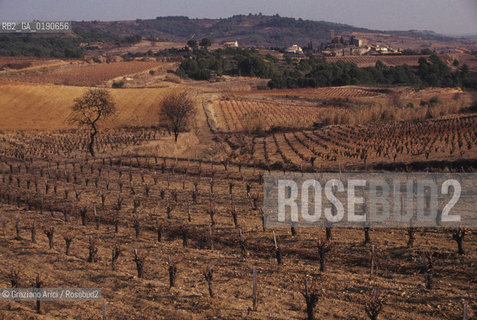 ( FRANCIA  )  LANGUEDOC-ROUSSILLON VIGNETI © 1999 Graziano Arici/Rosebud2 / GEO VINO