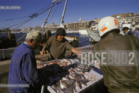 ( FRANCIA  )  PROVENCE-ALPES-COTE DAZUR MARSIGLIA : IL VIEUX-PORT MERCATO DEL PESCE © 1999 Graziano Arici/Rosebud2 / GEO PORTO PESCA