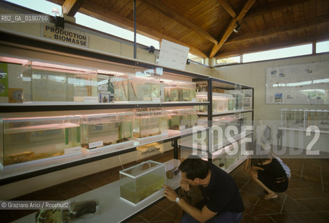 ( FRANCIA  )  LANGUEDOC-ROUSSILLON  LAGUNA DI MEZE : ALLEVAMENTI DI OSTRICHE LABORATORI DI CONTROLLO DELLA QUALITA DELLACQUA © 1999 Graziano Arici/Rosebud2 / GEO