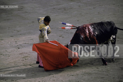 ( FRANCIA  )  LANGUEDOC-ROUSSILLON  NIMES : FERIA DES VENDANGES  ARENA CORRIDA © 1999 Graziano Arici/Rosebud2 / GEO