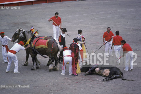 ( FRANCIA  )  LANGUEDOC-ROUSSILLON  NIMES : FERIA DES VENDANGES  ARENA CORRIDA © 1999 Graziano Arici/Rosebud2 / GEO