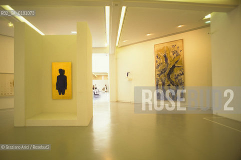 ( FRANCIA  )  PROVENCE-ALPES-COTE DAZUR NIZZA : IL MUSEO DARTE MODERNA  © 1999 Graziano Arici/Rosebud2 / GEO