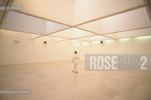 ( FRANCIA  )  PROVENCE-ALPES-COTE DAZUR NIZZA : FONDAZIONE DARTE CONTEMPORANEA VILLA ARSAN  © 1999 Graziano Arici/Rosebud2 / GEO