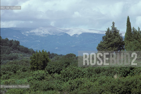 ( FRANCIA  )  PROVENCE-ALPES-COTE DAZUR IL MONTE VENTOUX  © 1999 Graziano Arici/Rosebud2 / GEO