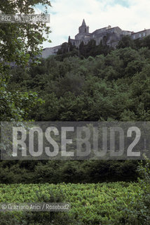 ( FRANCIA  )  PROVENCE-ALPES-COTE DAZUR UN PAESE  © 1999 Graziano Arici/Rosebud2 / GEO