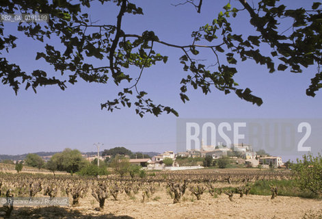 ( FRANCIA  )  PROVENCE-ALPES-COTE DAZUR UN PAESE  © 1999 Graziano Arici/Rosebud2 / GEO VIGNA VINO