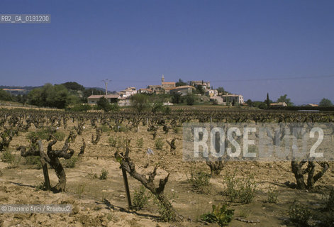( FRANCIA  )  PROVENCE-ALPES-COTE DAZUR UN PAESE  © 1999 Graziano Arici/Rosebud2 / GEO VIGNA VINO