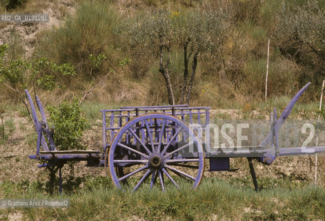 ( FRANCIA  )  PROVENCE-ALPES-COTE DAZUR CARRETTO  © 1999 Graziano Arici/Rosebud2 / GEO VIOLA