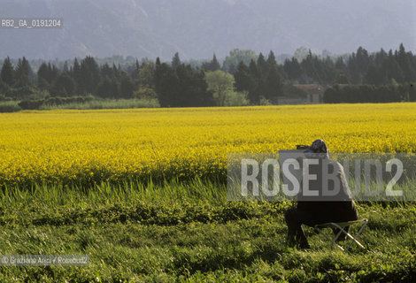 ( FRANCIA  )  PROVENCE-ALPES-COTE DAZUR  ALPILLES : CAMPO DI FIORI  © 1999 Graziano Arici/Rosebud2 / GEO PITTORE GIALLO
