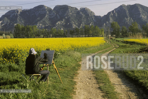 ( FRANCIA  )  PROVENCE-ALPES-COTE DAZUR  ALPILLES : CAMPO DI FIORI  © 1999 Graziano Arici/Rosebud2 / GEO PITTORE GIALLO