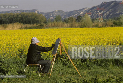 ( FRANCIA  )  PROVENCE-ALPES-COTE DAZUR  ALPILLES : CAMPO DI FIORI  © 1999 Graziano Arici/Rosebud2 / GEO PITTORE GIALLO