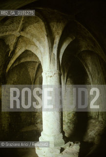 ( FRANCIA  )  LANGUEDOC-ROUSSILLON  QUERIBUS  : IL CASTELLO © 1999 Graziano Arici/Rosebud2 / GEO ERESIA CATARA CATARI CROCIATA COLONNA