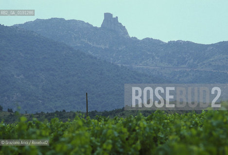 ( FRANCIA  )  LANGUEDOC-ROUSSILLON  QUERIBUS  : IL CASTELLO © 1999 Graziano Arici/Rosebud2 / GEO ERESIA CATARA CATARI CROCIATA