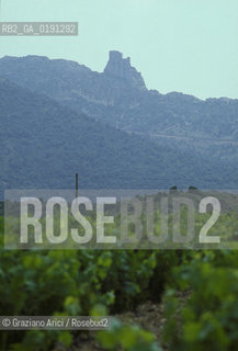 ( FRANCIA  )  LANGUEDOC-ROUSSILLON  QUERIBUS  : IL CASTELLO © 1999 Graziano Arici/Rosebud2 / GEO ERESIA CATARA CATARI CROCIATA