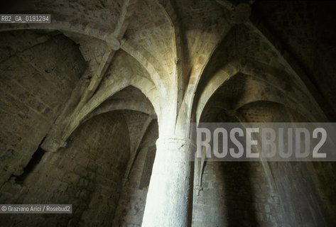 ( FRANCIA  )  LANGUEDOC-ROUSSILLON  QUERIBUS  : IL CASTELLO © 1999 Graziano Arici/Rosebud2 / GEO ERESIA CATARA CATARI CROCIATA