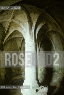 ( FRANCIA  )  LANGUEDOC-ROUSSILLON  QUERIBUS  : IL CASTELLO © 1999 Graziano Arici/Rosebud2 / GEO ERESIA CATARA CATARI CROCIATA COLONNA