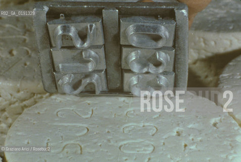 ( FRANCIA  )  MIDI-PYRENEES ROQUEFORT-SUR-SOULZON : CASEIFICIO  SOCIETE  FABBRICAZIONE DEL FORMAGGIO ROQUEFORT © 1999 Graziano Arici/Rosebud2 / GEO GASTRONOMIA