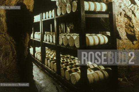 ( FRANCIA  )  MIDI-PYRENEES ROQUEFORT-SUR-SOULZON : CASEIFICIO  SOCIETE  FABBRICAZIONE DEL FORMAGGIO ROQUEFORT © 1999 Graziano Arici/Rosebud2 / GEO GASTRONOMIA