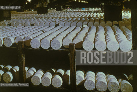 ( FRANCIA  )  MIDI-PYRENEES ROQUEFORT-SUR-SOULZON : CASEIFICIO  SOCIETE  FABBRICAZIONE DEL FORMAGGIO ROQUEFORT © 1999 Graziano Arici/Rosebud2 / GEO GASTRONOMIA