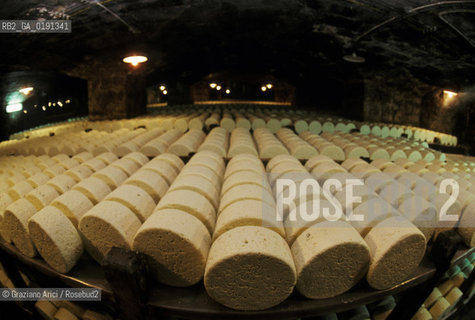 ( FRANCIA  )  MIDI-PYRENEES ROQUEFORT-SUR-SOULZON : CASEIFICIO  SOCIETE  FABBRICAZIONE DEL FORMAGGIO ROQUEFORT © 1999 Graziano Arici/Rosebud2 / GEO GASTRONOMIA