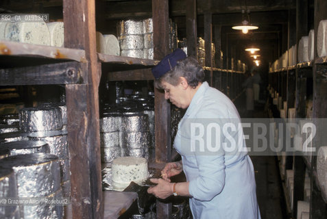 ( FRANCIA  )  MIDI-PYRENEES ROQUEFORT-SUR-SOULZON : CASEIFICIO  SOCIETE  FABBRICAZIONE DEL FORMAGGIO ROQUEFORT © 1999 Graziano Arici/Rosebud2 / GEO GASTRONOMIA
