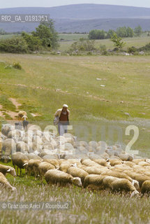 ( FRANCIA  )  LANGUEDOC-ROUSSILLON ALTIPIANO DEL LARZAC CAUSSE : PASTORE © 1999 Graziano Arici/Rosebud2 / GEO PECORE