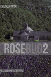 ( FRANCIA  )  PROVENCE-ALPES-COTE DAZUR ABBAZIA DI SENANQUE E CAMPI DI LAVANDA  © 1999 Graziano Arici/Rosebud2 / GEO VIOLA