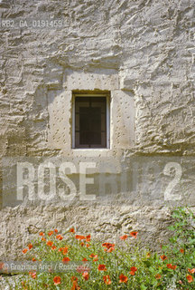 ( FRANCIA  )  PROVENCE-ALPES-COTE DAZUR ST-REMY-DE-PROVENCE : FINESTRA FIORI  © 1999 Graziano Arici/Rosebud2 / GEO