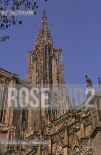 ( FRANCIA  )  ALSAZIA STRASBURGO : CATTEDRALE DI NOTRE-DAME  © 1999 Graziano Arici/Rosebud2 / GEO