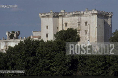 ( FRANCIA  )  PROVENCE-ALPES-COTE DAZUR TARASCONA : IL FIUME RODANO E IL CASTELLO  © 1999 Graziano Arici/Rosebud2 / GEO