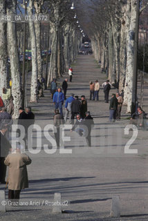 ( FRANCIA  )  MIDI-PYRENEES TOLOSA :GIOCO DE LA PETANQUE  © 1999 Graziano Arici/Rosebud2 / GEO