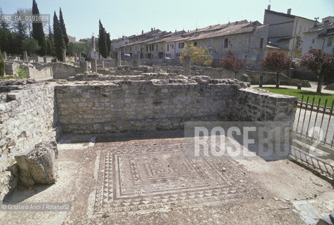 ( FRANCIA  )  PROVENCE-ALPES-COTE DAZUR VAISON-LA-ROMAINE : SCAVI DELLA CITTA ROMANA DI VASIO © 1999 Graziano Arici/Rosebud2 / GEO
