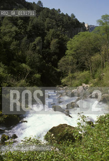 ( FRANCIA  )  PROVENCE-ALPES-COTE DAZUR FONTAINE-DE-VAUCLUSE : LA SORGENTE DEL FIUME SORGUE CANTATA DAL PETRARCA © 1999 Graziano Arici/Rosebud2 / GEO LETTERATURA ACQUA