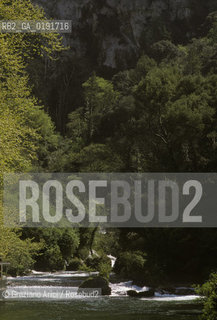 ( FRANCIA  )  PROVENCE-ALPES-COTE DAZUR FONTAINE-DE-VAUCLUSE : LA SORGENTE DEL FIUME SORGUE CANTATA DAL PETRARCA © 1999 Graziano Arici/Rosebud2 / GEO LETTERATURA ACQUA