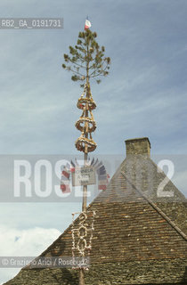 ( FRANCIA  ) AQUITAINE SARLAT-LA CANEDA : ALBERO © 1999 Graziano Arici/Rosebud2 / GEO  PERIGORD