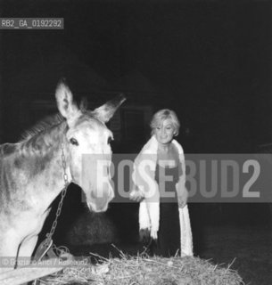 THE PAINTER NOVELLA PARIGINI AT VENICE LIDO  - 1958 © ARCHIVIO Graziano Arici/Rosebud2  /ARTE / PITTORE / ASINO