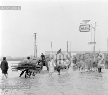 THE PO RIVER FLOOD IN POLESINE - 1960 © ARCHIVIO Graziano Arici/Rosebud2  / ALLUVIONE / CA VENDRAMIN