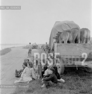 THE PO RIVER FLOOD IN POLESINE - 1960 © ARCHIVIO Graziano Arici/Rosebud2  / ALLUVIONE / CA VENDRAMIN
