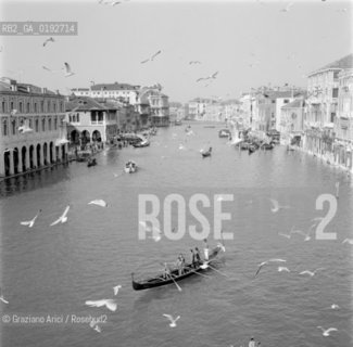 GRAND CANAL, SEAGULLS IN VENICE - 196? - © ARCHIVIO Graziano Arici/Rosebud2  / ANIMALI / CANAL GRANDE / GONDOLA / GABBIANO
