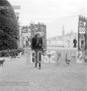 IDA SERENA, FRIEND OF CATS  - VENICE - 196? - © ARCHIVIO Graziano Arici/Rosebud2  / GATTO / GATTARA / ANIMALE