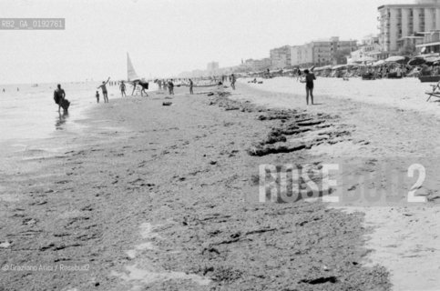 JESOLO LIDO BEACH (VENICE) - 196?© ARCHIVIO Graziano Arici/Rosebud2  / SPIAGGIA / ALGHE
