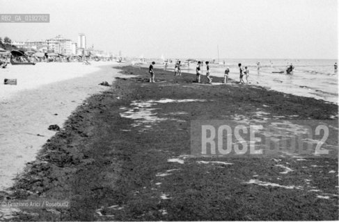 JESOLO LIDO BEACH (VENICE) - 196?© ARCHIVIO Graziano Arici/Rosebud2  / SPIAGGIA / ALGHE