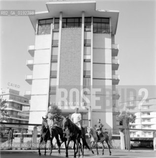 JESOLO LIDO BEACH (VENICE) - 196?© ARCHIVIO Graziano Arici/Rosebud2  / SPIAGGIA / CAVALLO / ANIMALE