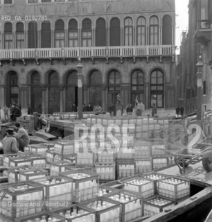 STRIKE OF THE MILK CARRIERS IN VENICE - 196? - ©Graziano Arici/Rosebud2 / SCIOPERO DEI PORTATORI DEL LATTE