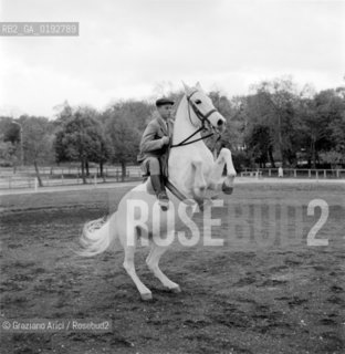 LIPICA : HORSE-BREEDING  - 1959 -  © ARCHIVIO Graziano Arici/Rosebud2  / ALLEVAMENTO DI CAVALLI / ANIMALE / CAVALLO