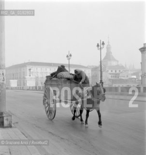 MADRID : STREET  - 1959 -  © ARCHIVIO Graziano Arici/Rosebud2  / SPAGNA / STRADA / CARRO / CAVALLO