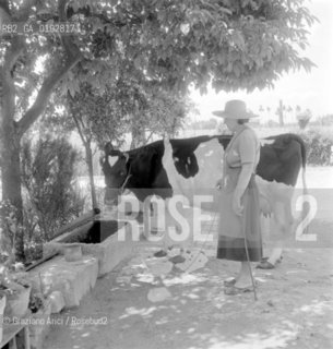 PIECES OF ANCIENT STONES USED IN A LITTLE COUNTRY VILLAGE MALCONTENTA (VENICE) - 1961© ARCHIVIO Graziano Arici/Rosebud2  / ARCHEOLOGIA / CAMPAGNA