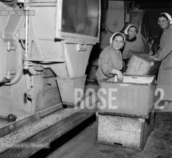 THE TOBACCO FACTORY IN VENICE - 196? © ARCHIVIO Graziano Arici/Rosebud2  / MANIFATTURA TABACCHI / FABBRICA